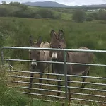 Casa vacanze Bumblebee Donegal Town