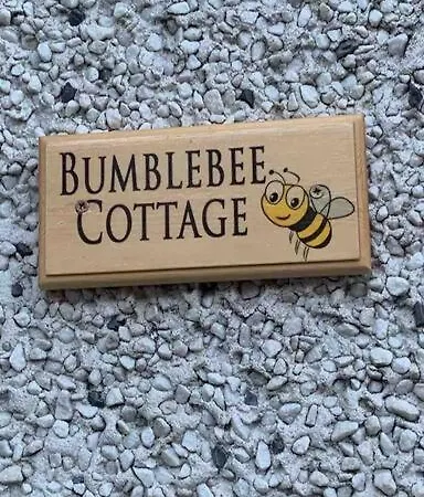 Bumblebee Donegal Town