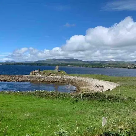 Bumblebee Donegal Town