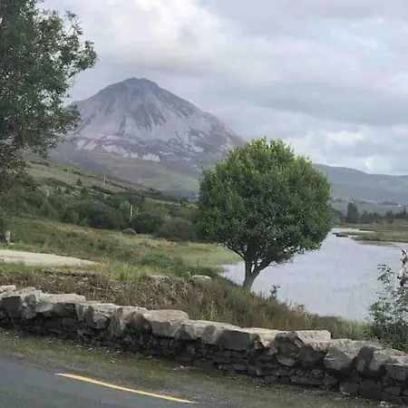 Bumblebee * Donegal Town