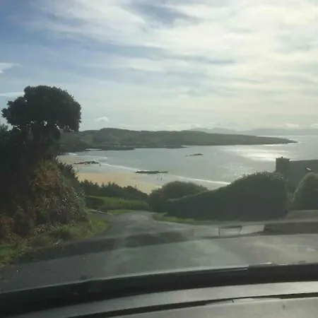 Bumblebee * Donegal Town