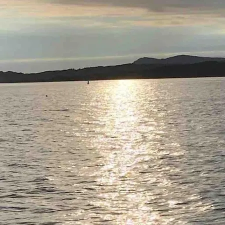 Bumblebee بيت للعطل *