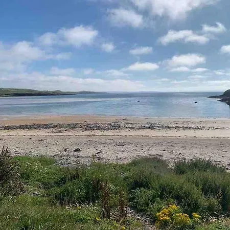 بيت للعطل Bumblebee *