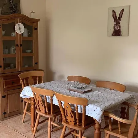 Bumblebee Donegal Town