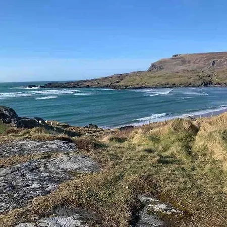 Bumblebee * Donegal Town