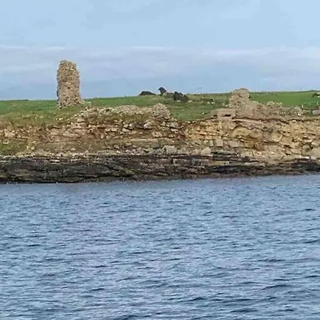 Bumblebee بيت للعطل *