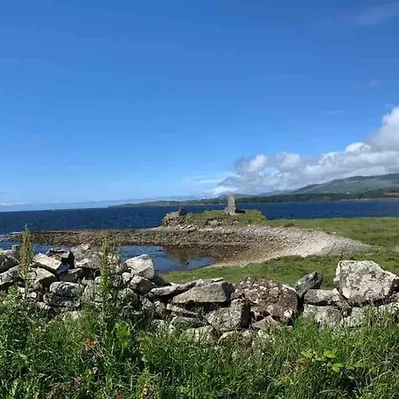 Bumblebee بيت للعطل *