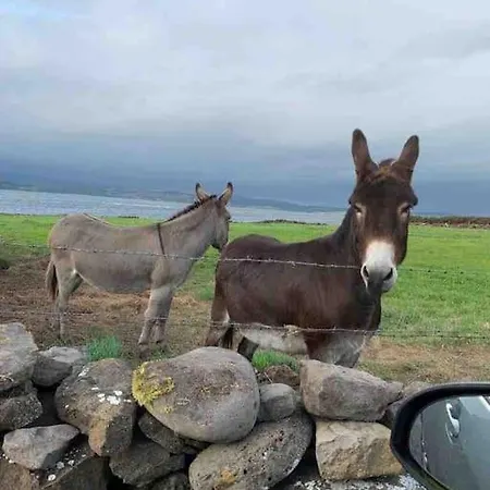 بيت للعطل Bumblebee Donegal Town