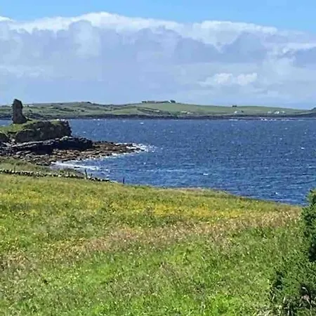Bumblebee * Donegal Town