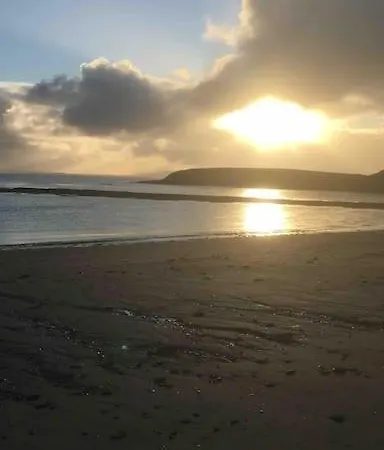 Bumblebee بيت للعطل