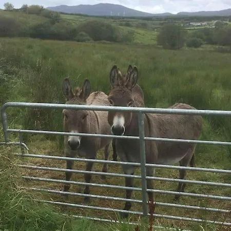 בית נופש Bumblebee Donegal Town