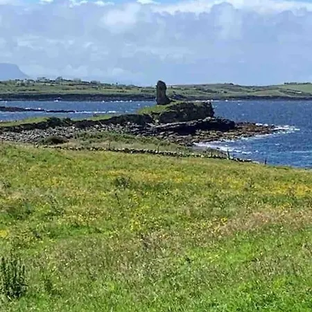 Bumblebee * Donegal Town
