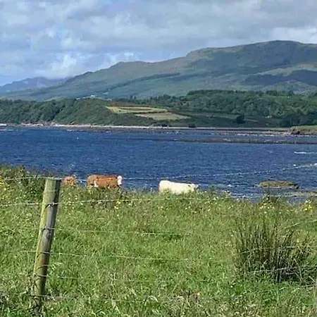 Bumblebee بيت للعطل