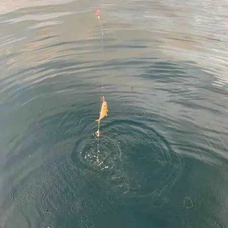 Holiday home Bumblebee *