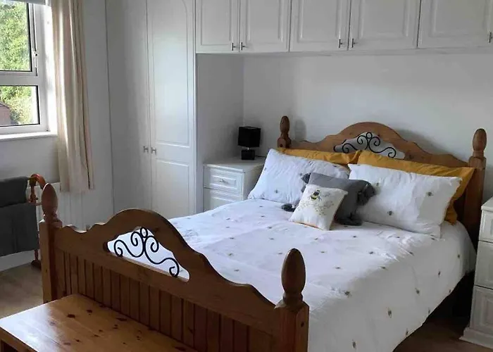 Bumblebee * Donegal Town