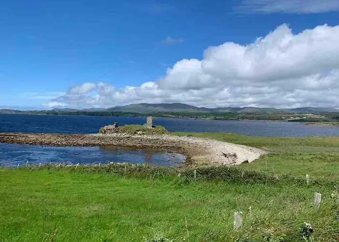 Bumblebee Donegal Town