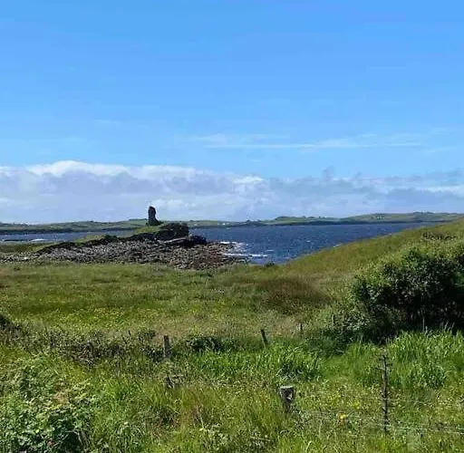Bumblebee * Donegal Town