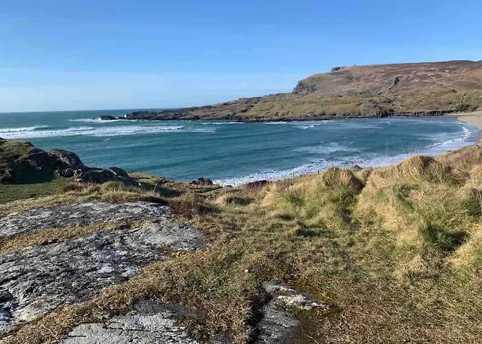 Bumblebee * Donegal Town