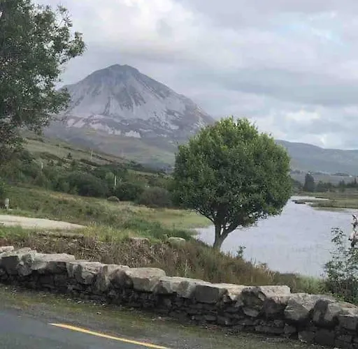 Bumblebee * Donegal Town