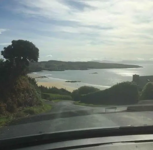 Bumblebee * Donegal Town