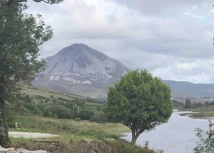 Bumblebee Donegal Town
