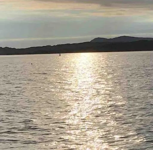 Bumblebee Feriehus *