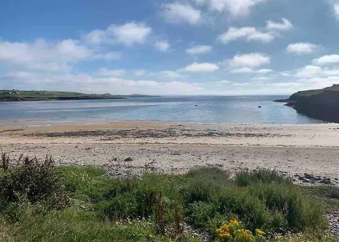 Hébergement de vacances Bumblebee *