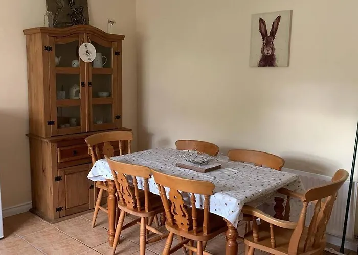 Bumblebee Donegal Town