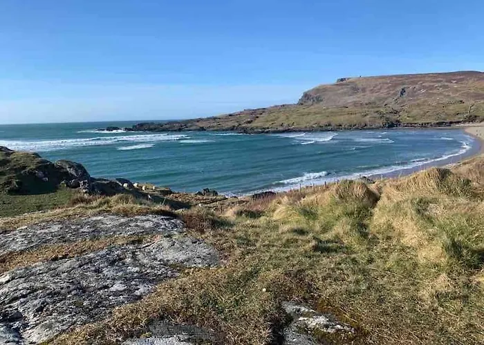 Bumblebee * Donegal Town