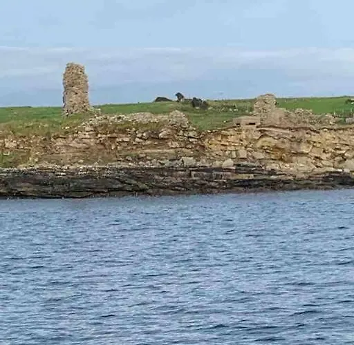 Bumblebee Vakantiehuis *