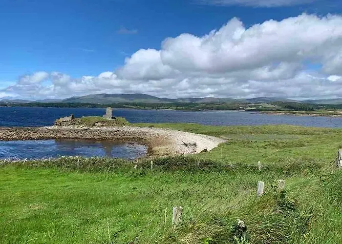 Bumblebee Donegal Town