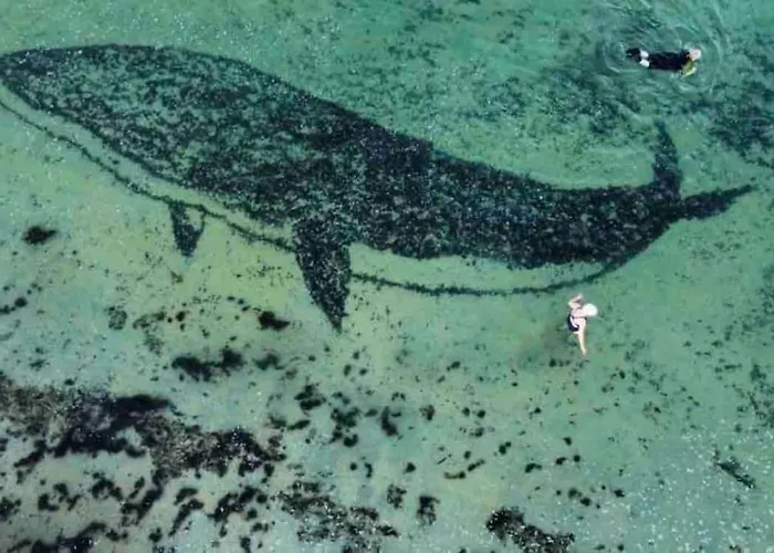 Bumblebee Hébergement de vacances