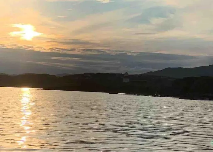 Bumblebee * Donegal Town