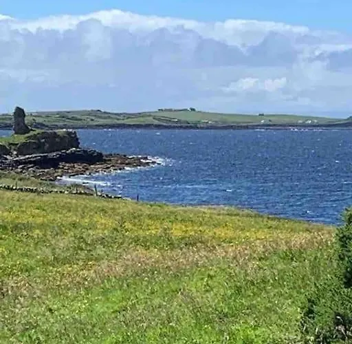 Bumblebee * Donegal Town