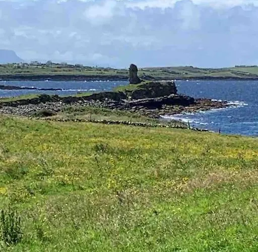Bumblebee * Donegal Town
