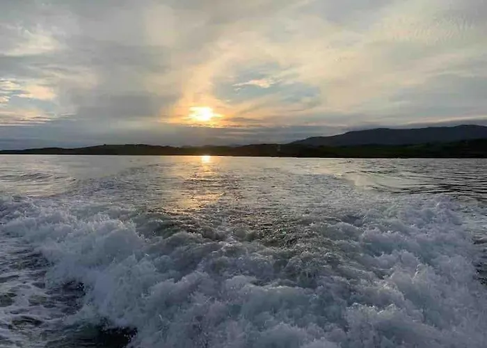 Hébergement de vacances Bumblebee *