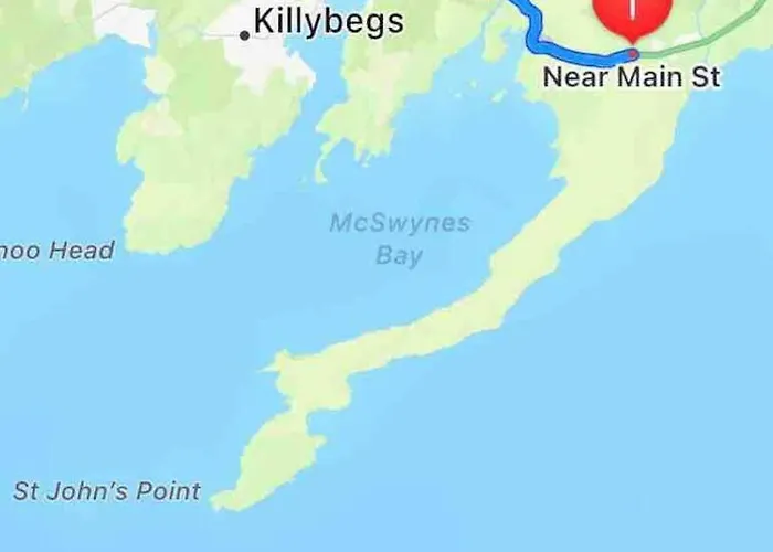 Bumblebee Hébergement de vacances *