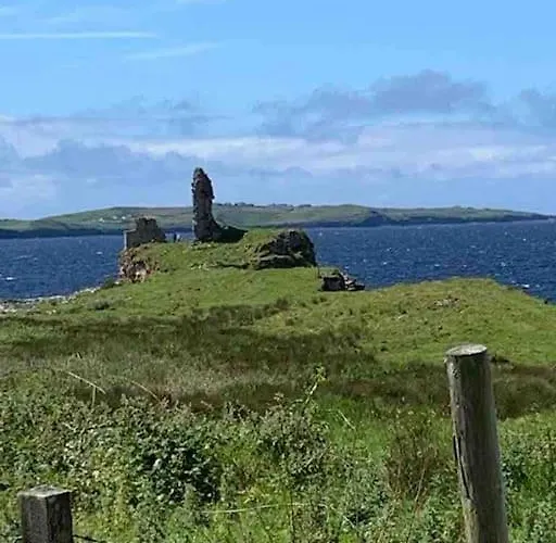 Vakantiehuis Bumblebee